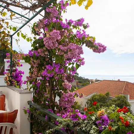 Gostinjska kuća Haus Kovac 3*
